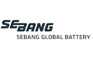 Seabing logo